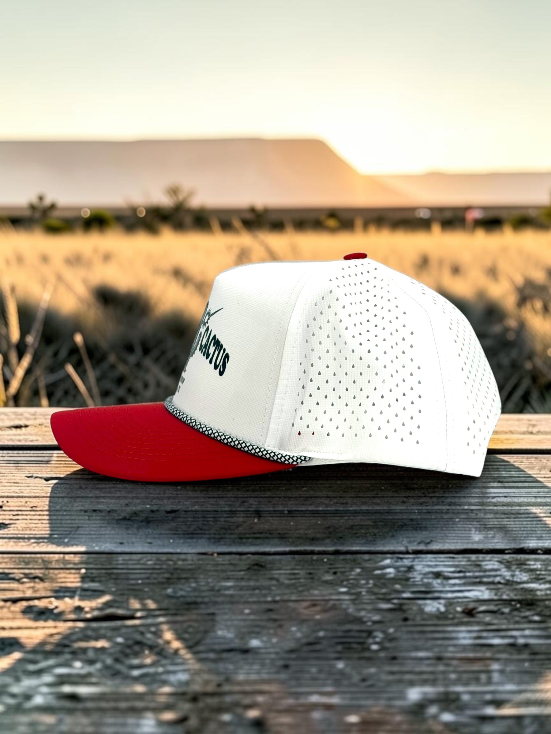 Laser Cactus Dart Hat