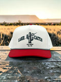 Laser Cactus Dart Hat